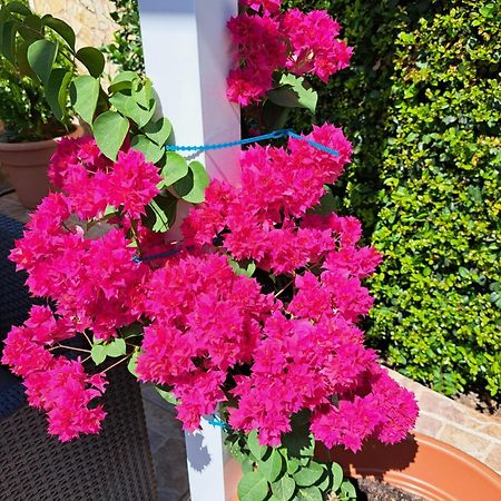Villa Mariamar Albufeira Zewnętrze zdjęcie