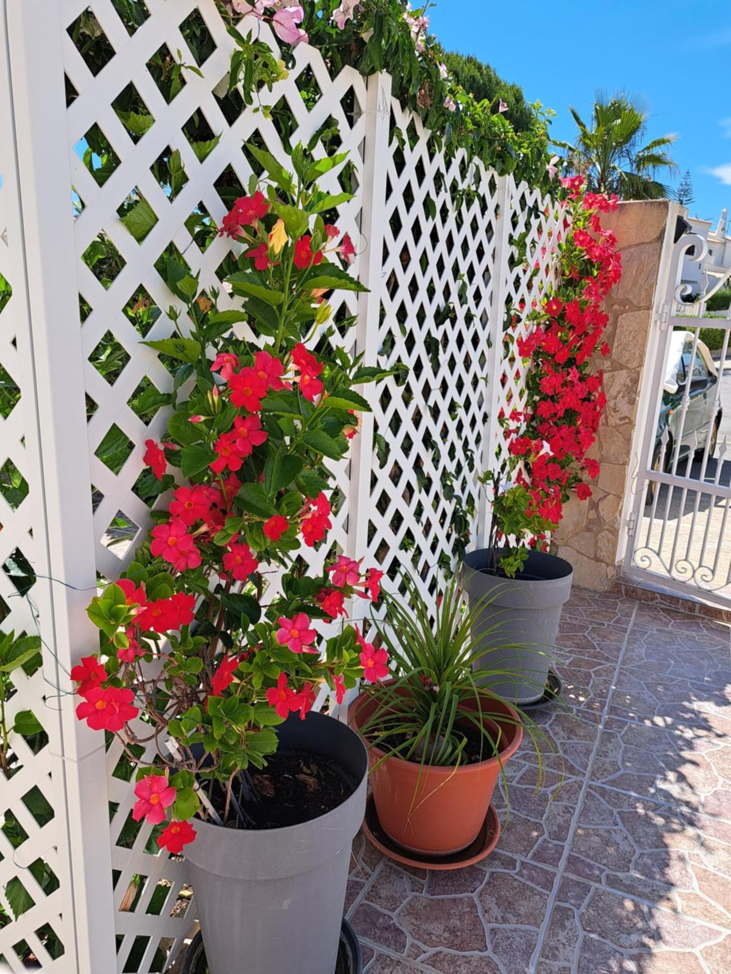 Villa Mariamar Albufeira Zewnętrze zdjęcie